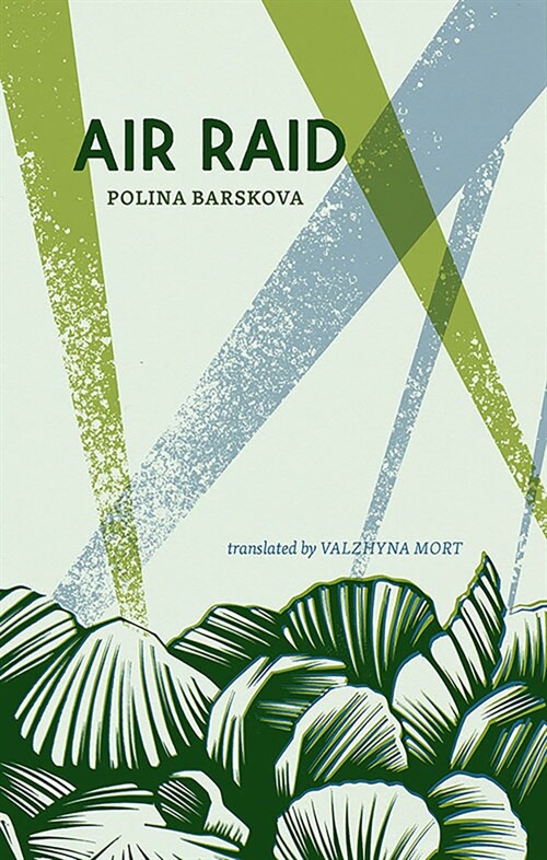 Air Raid (Paperback)