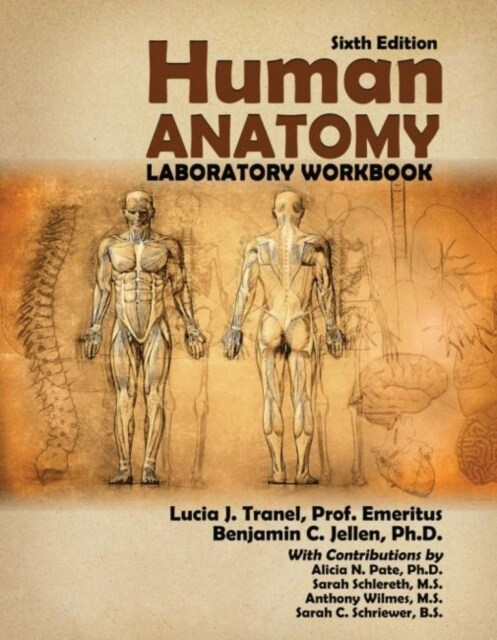 HUMAN ANATOMY LABORATORY WORKBOOK 6TH E (Paperback)