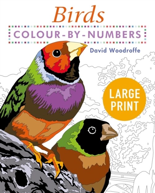 Large Print Colour by Numbers Birds : Easy-to-Read (Paperback)