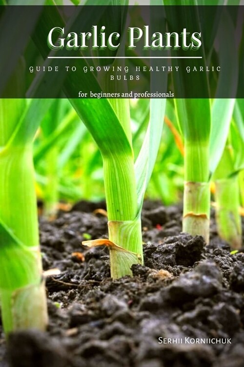 Garlic Plants: Guide tо Growing Healthy Garlic Bulbs (Paperback)