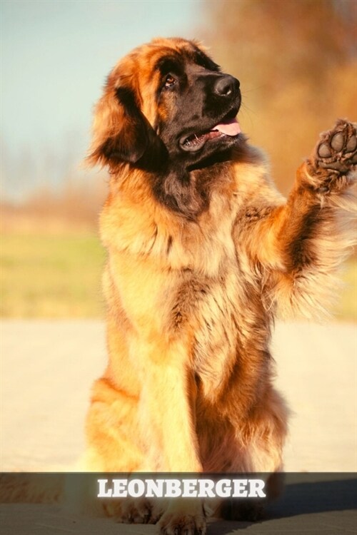 Leonberger: Complete breed guide (Paperback)