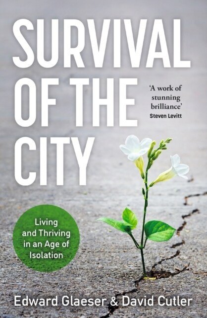 Survival of the City : Living and Thriving in an Age of Isolation (Paperback)