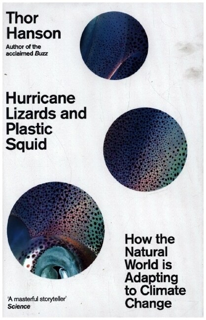 Hurricane Lizards and Plastic Squid : How the Natural World is Adapting to Climate Change (Hardcover)