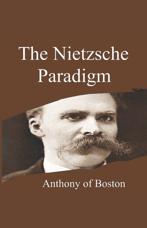 The Nietzsche Paradigm (Paperback)