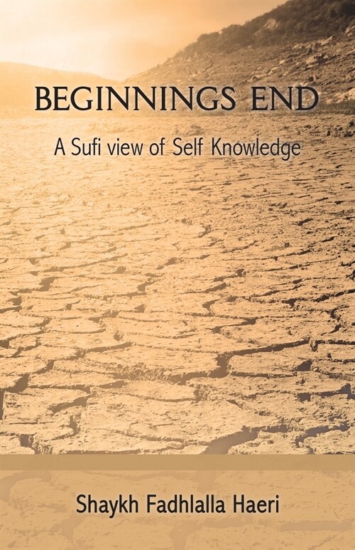 Beginnings End (Paperback)