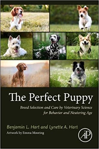The Perfect Puppy : Breed Selection and Care by Veterinary Science for Behavior and Neutering Age (Paperback)