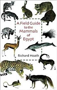 A Field Guide to the Mammals of Egypt (Paperback)