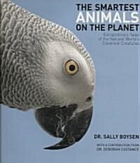 The Smartest Animals on the Planet (Hardcover)