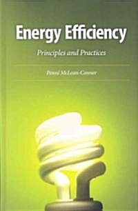 Energy Efficiency: Principles and Practices (Hardcover)