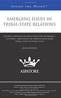 Emerging Issues in Tribal-State Relations: Leading Lawyers on Analyzing the Economic, Cultural, and Political Trends Affecting Tribal-State Interactio (Paperback, 2013)