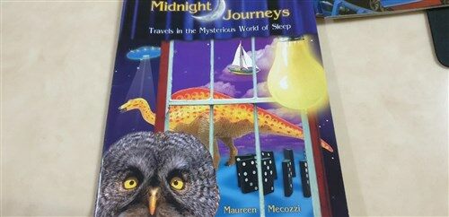[중고] Rigby Literacy by Design: Leveled Reader Grade 4 Midnight Journeys (Paperback)