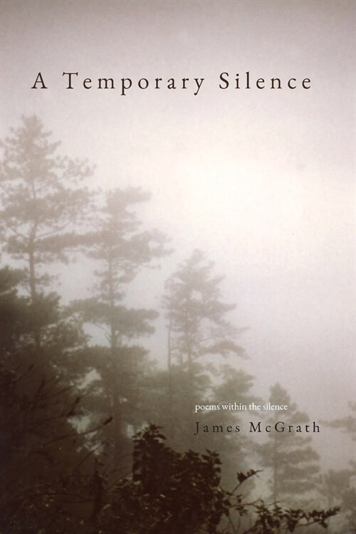 A Temporary Silence: Poems Within the silence (Paperback)