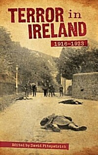 Terror in Ireland: 1916-1923 (Paperback)