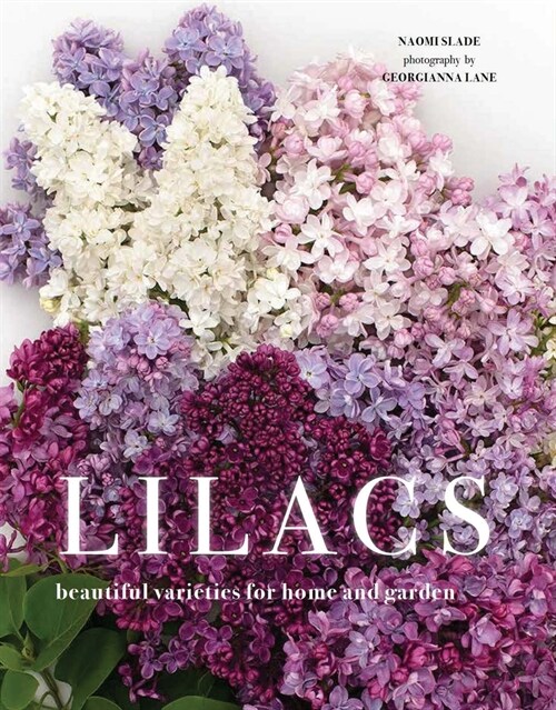 Lilacs: Beautiful Varieties for Home and Garden (Hardcover)