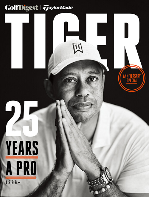 타이거 TIGER