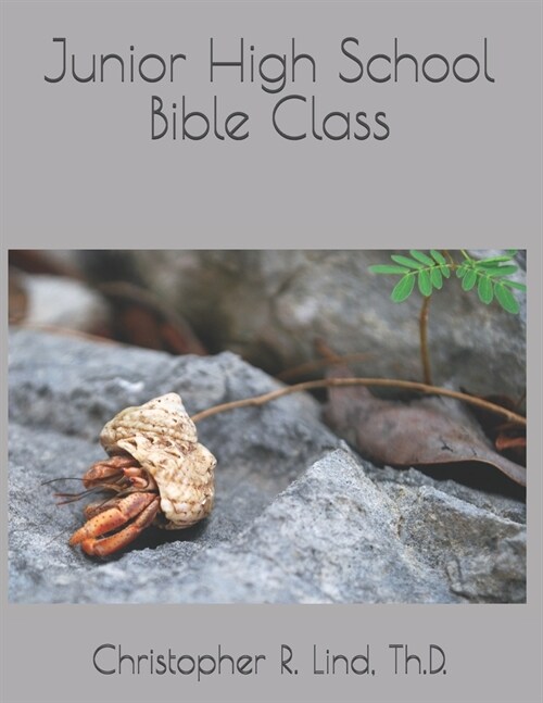 Junior High School Bible Class (Paperback)