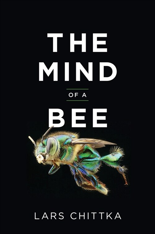 The Mind of a Bee (Hardcover)