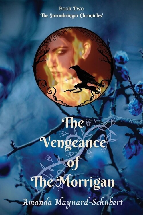 The Vengeance of The Morrigan (Paperback)