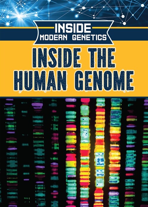 Inside the Human Genome (Paperback)