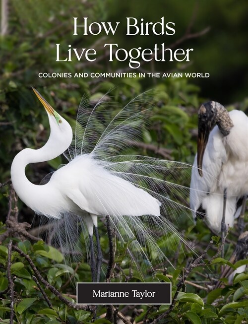 How Birds Live Together: Colonies and Communities in the Avian World (Hardcover)
