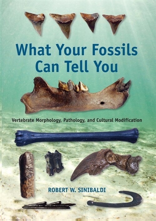 What Your Fossils Can Tell You: Vertebrate Morphology, Pathology, and Cultural Modification (Paperback)