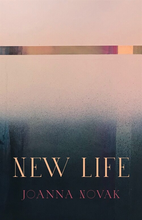 New Life (Paperback)