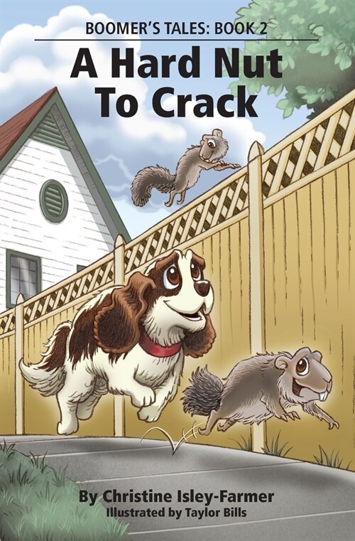 A Hard Nut To Crack (Paperback)