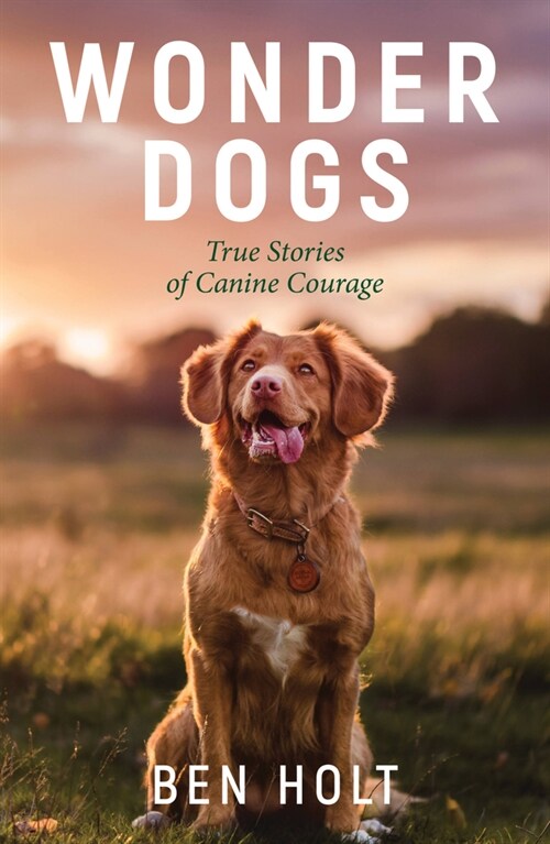 Wonder Dogs : Inspirational True Stories of Real-Life Dog Heroes That Will Melt Your Heart (Paperback)