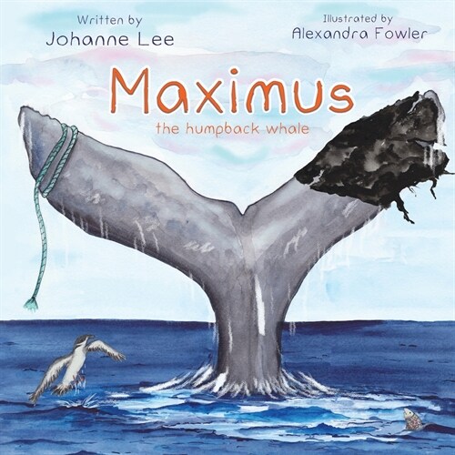 Maximus the Humpback Whale (Paperback)