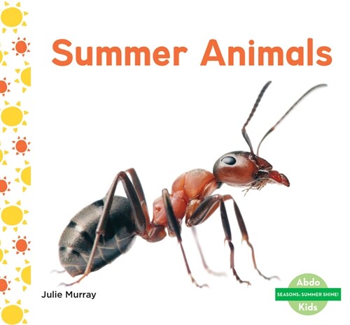 Summer Animals (Library Binding)