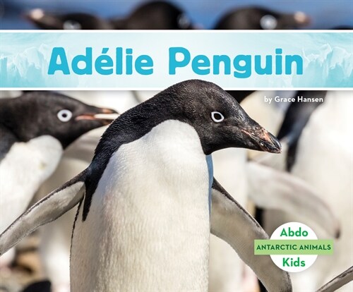 Ad?ie Penguin (Library Binding)