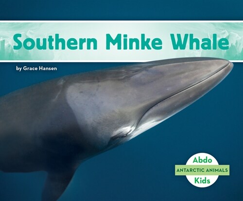 Southern Minke Whale (Library Binding)