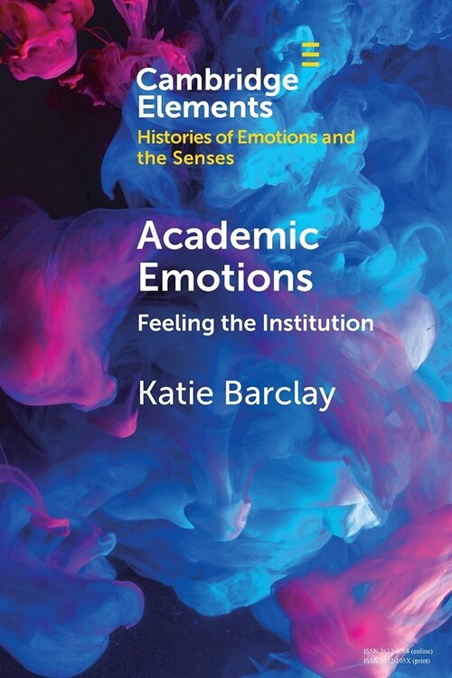 Academic Emotions : Feeling the Institution (Paperback, New ed)