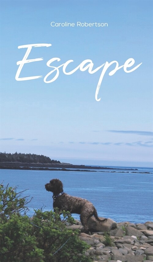 Escape (Hardcover)