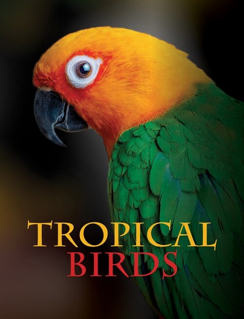 Tropical Birds (Hardcover)