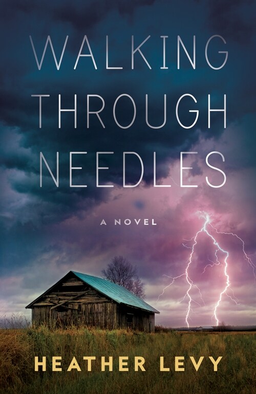 Walking Through Needles (Paperback)