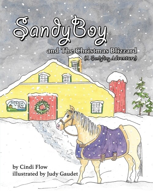 SandyBoy and the Christmas Blizzard (A SandyBoy Adventure) (Paperback)