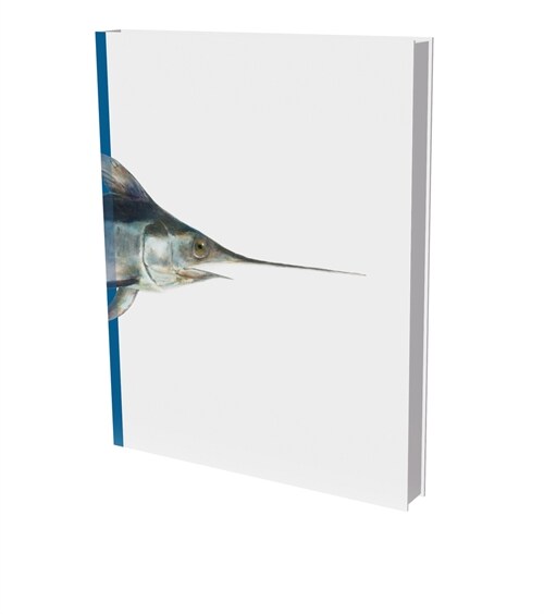 Gerhard Winkler: Fishes and Cephalopods: Cat. Die Photographische Sammlung/Sk Stiftung Kultur (Hardcover)