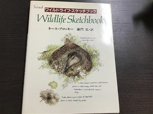 [중고] Wildlife Sketchbook. 일본어. 삽화책