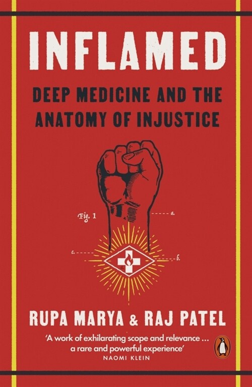 Inflamed : Deep Medicine and the Anatomy of Injustice (Paperback)