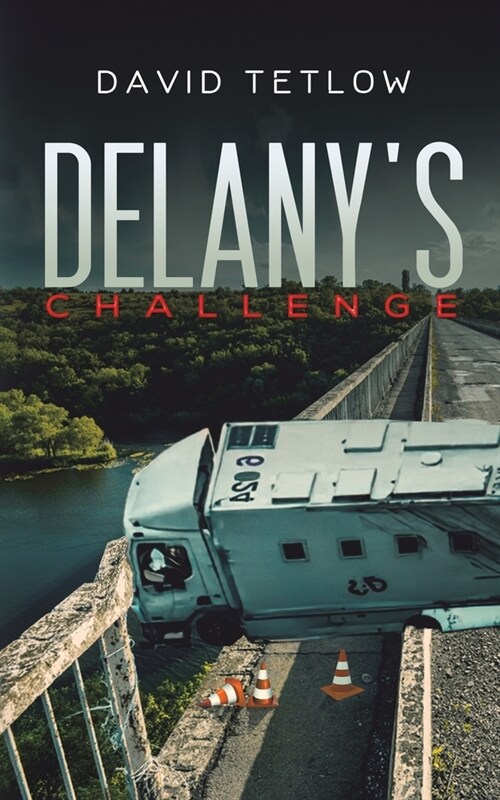 Delanys Challenge (Paperback)