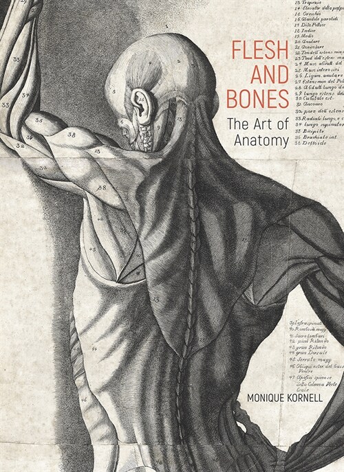 Flesh and Bones: The Art of Anatomy (Hardcover)