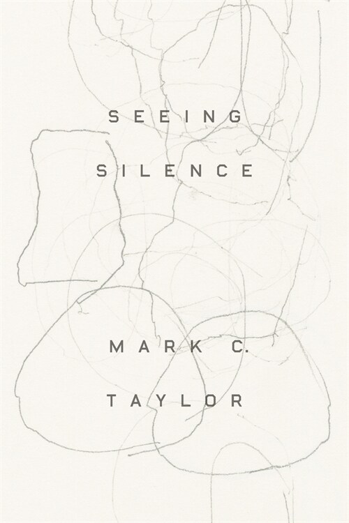 SEEING SILENCE (Paperback)