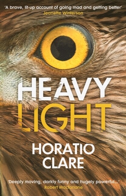 Heavy Light : A Journey Through Madness, Mania and Healing (Paperback)