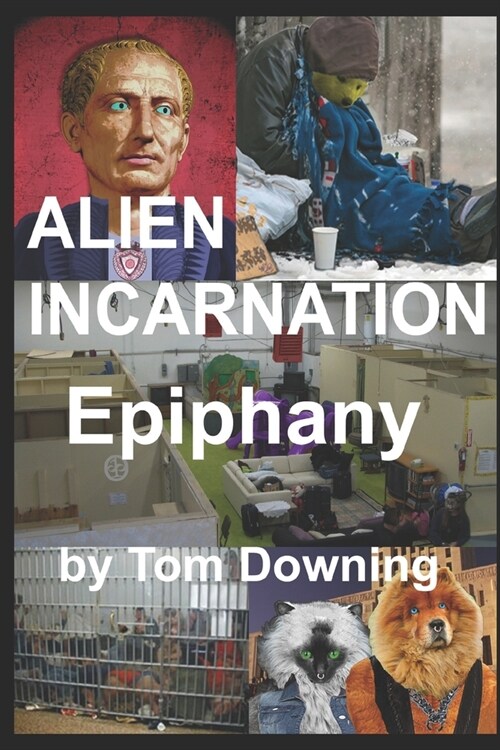 Alien Incarnation Epiphany (Paperback)