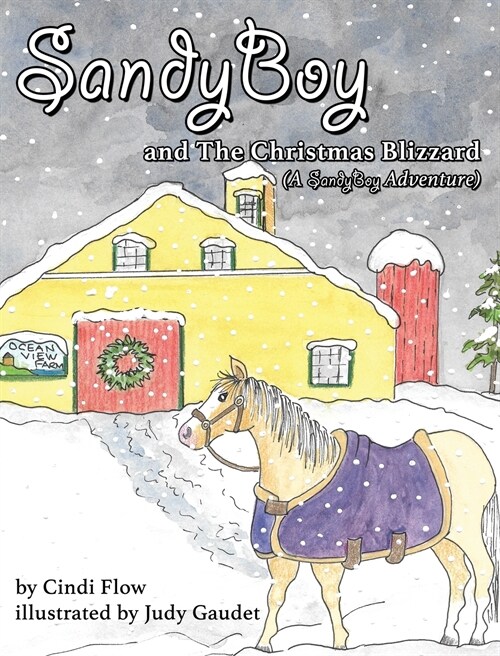 SandyBoy and the Christmas Blizzard (A SandyBoy Adventure) (Hardcover)
