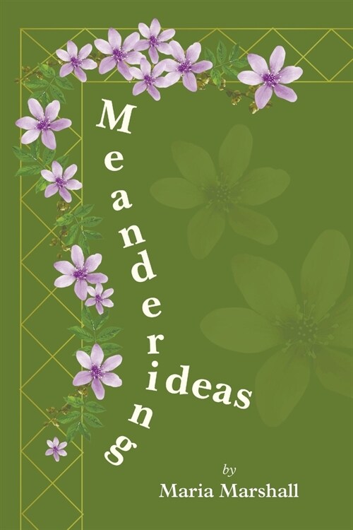 Meandering Ideas (Paperback)