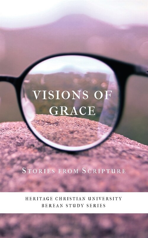 Visions of Grace: Stories from Scripture (Paperback)