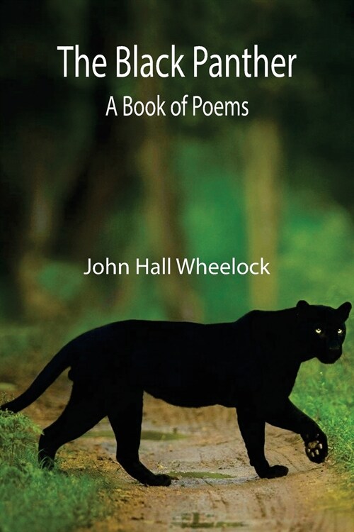 The Black Panther: A book of poems (Paperback)