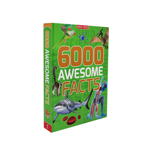 6000 Awesome Fats (Hardcover)